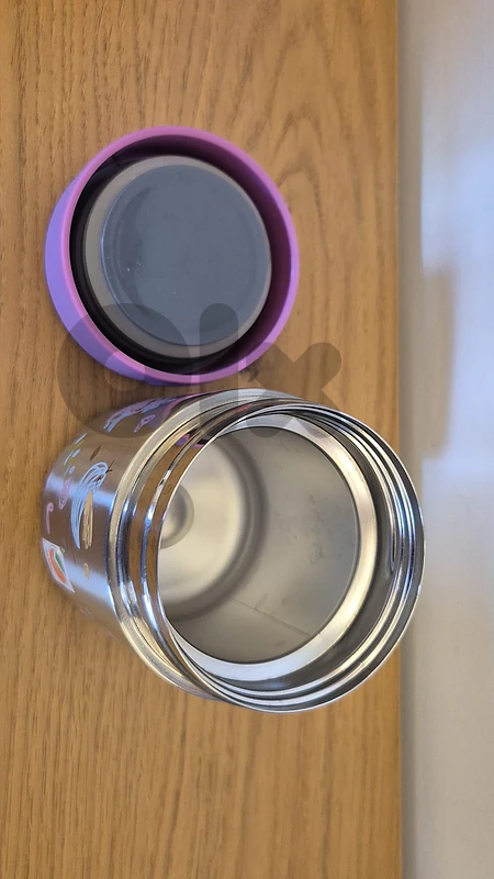 Double Wall Stainless Steel Food Jar, 300 ml