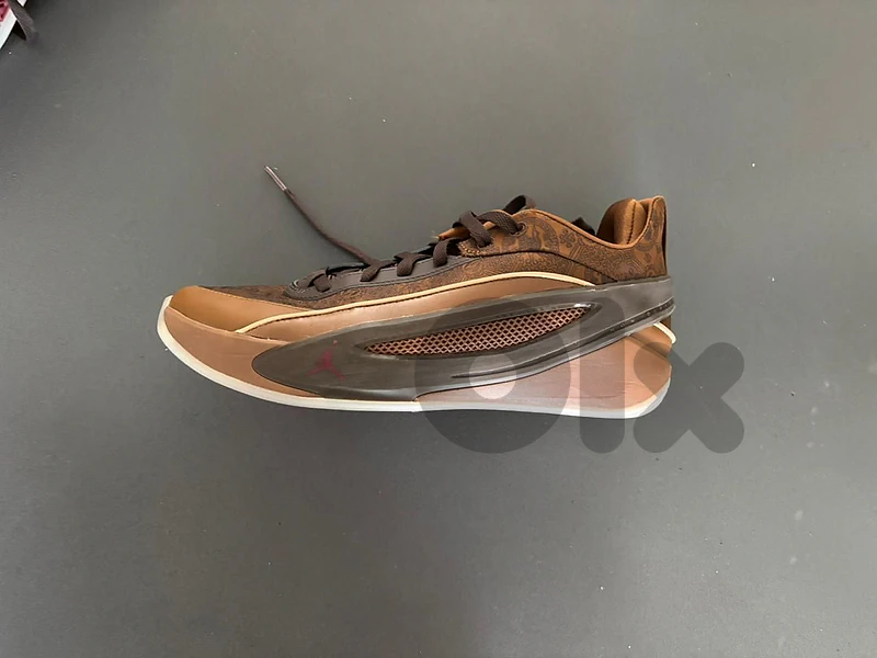 baskeball shoe luc5