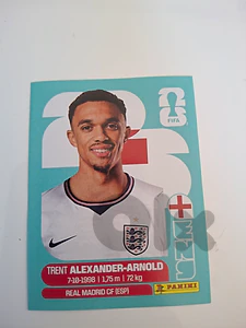 panini