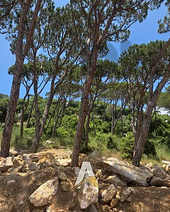 1770 SQM Land In Baabdat With A Mountain View