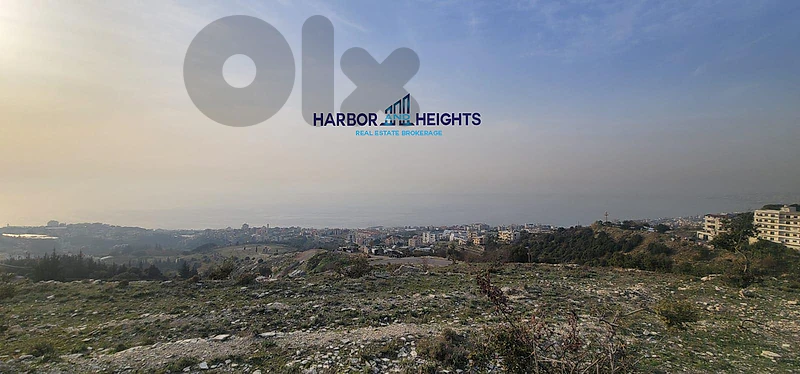 Land for Sale in Safra - أرض للبيع في الصفرا