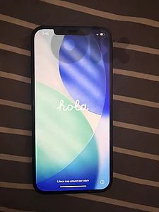 12 pro max