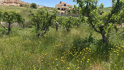 tarchich land for sale 1200