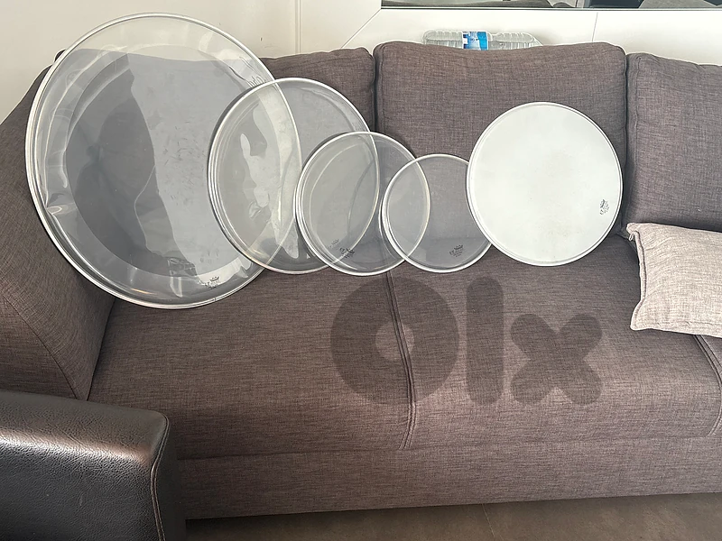 remo drum heads