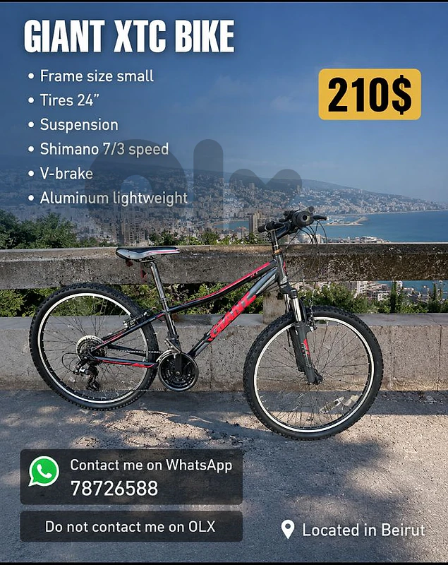 bike in beirut bike in beirut