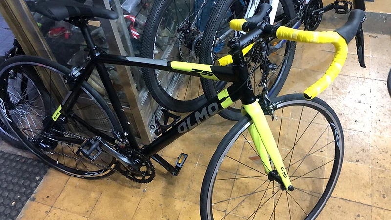 olmo z5