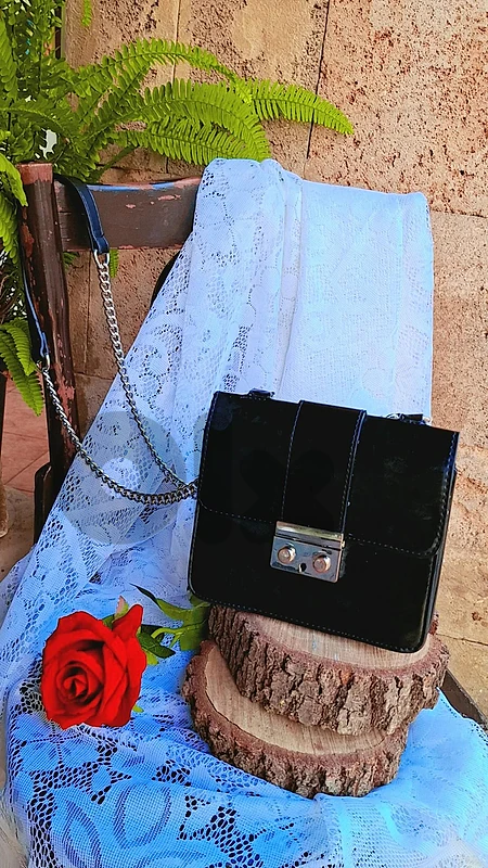 small bags, big style