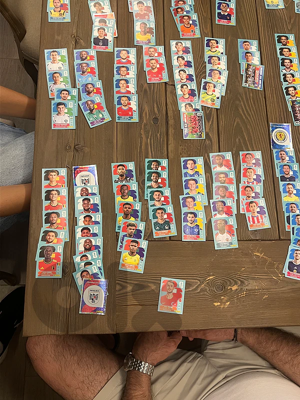 panini fifa