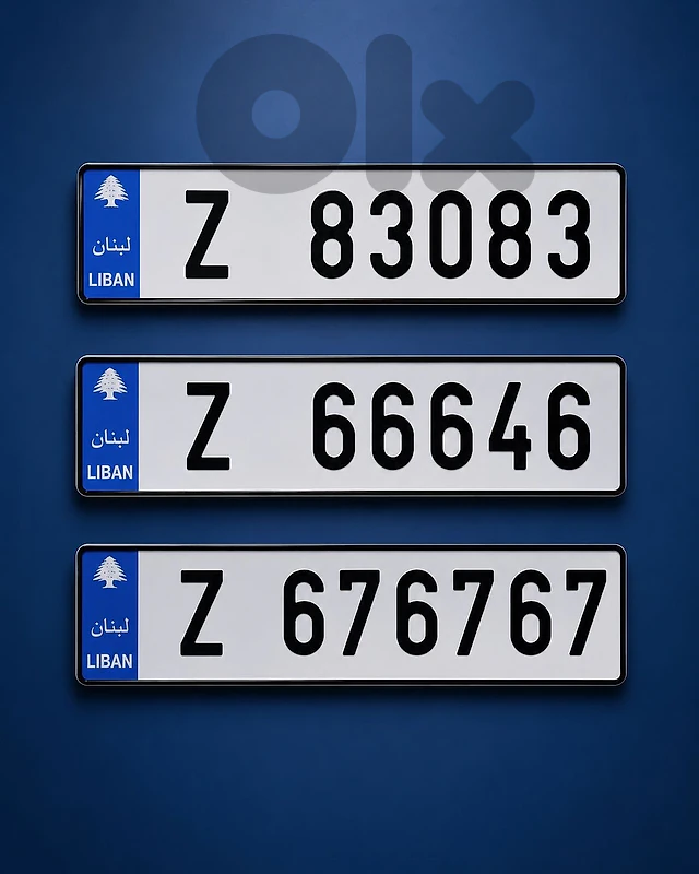 special plate numbers