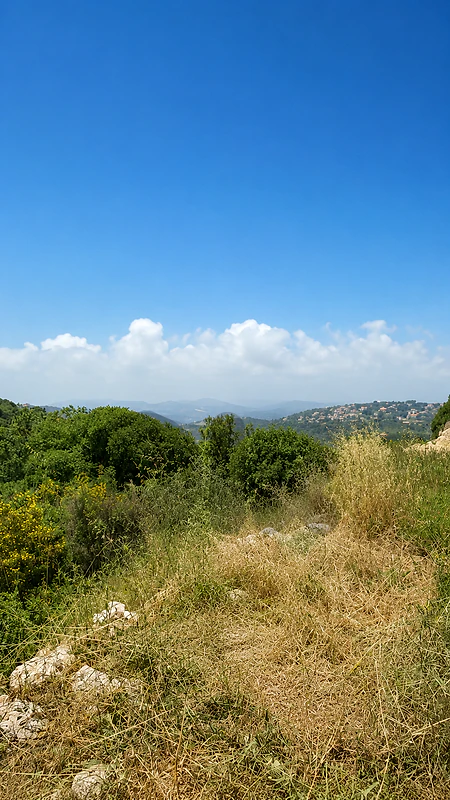 Land for sale in Douq, Batroun أرض للبيع في دوق، البترون