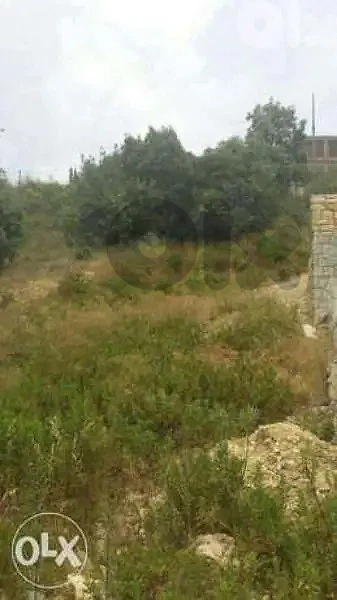 فرصة فريدة في الكفور
