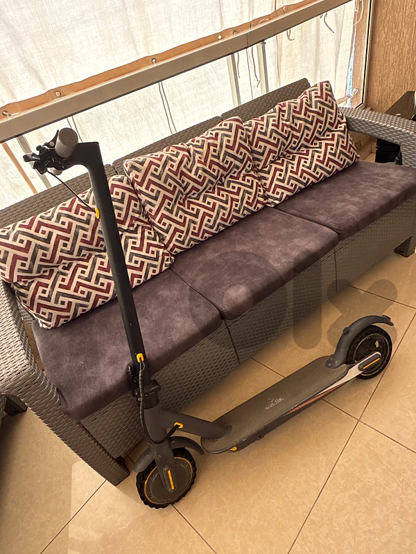 electric scooter