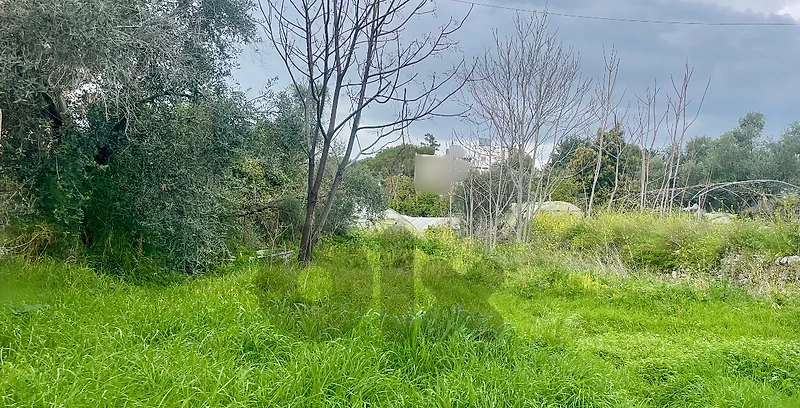 Land For Sale In Blat أرض مسطحة للبيع في جبيل