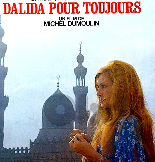 Dalida – Dalida Pour Toujours ( LP )