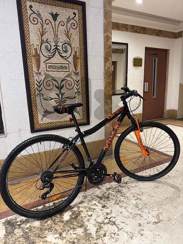MTb 29