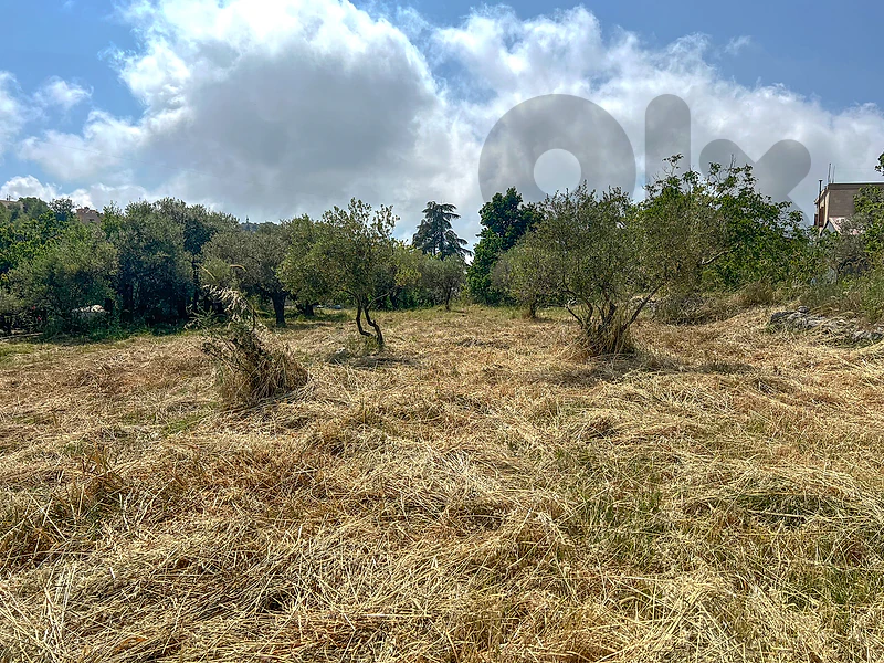 Rare & Exceptional Land in Lehfed - أرض نادرة واستثنائية في لحفد