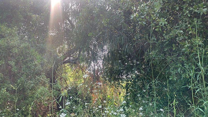 Residential Land for Sale in Adma Prime Location sea and Mountain viewأرض للبيع آدما موقع متميز