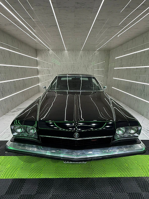 Buick Other 1973 1973