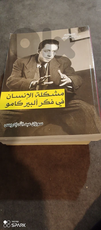 مشكلات الانسان في فكر البير كامو