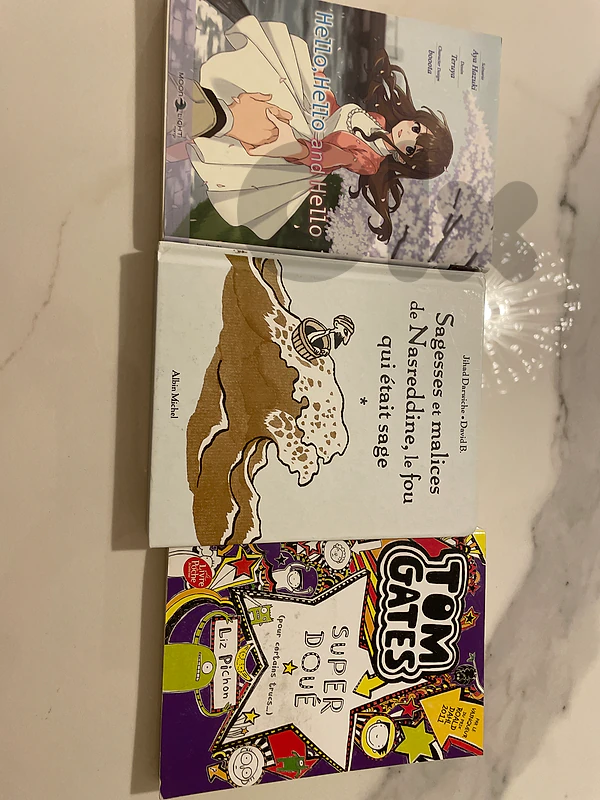3  French books