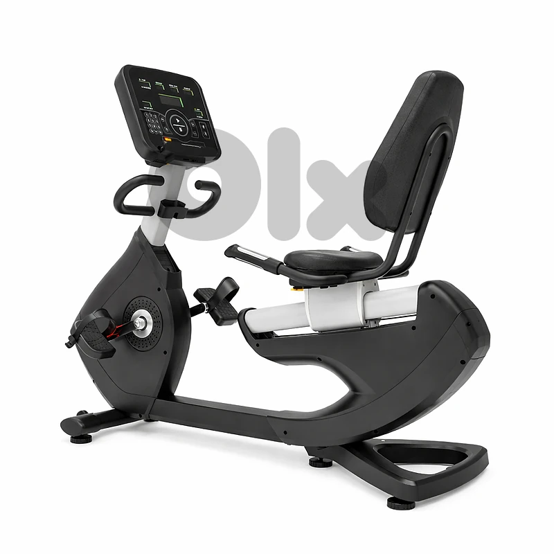 ST Recumbent Bike