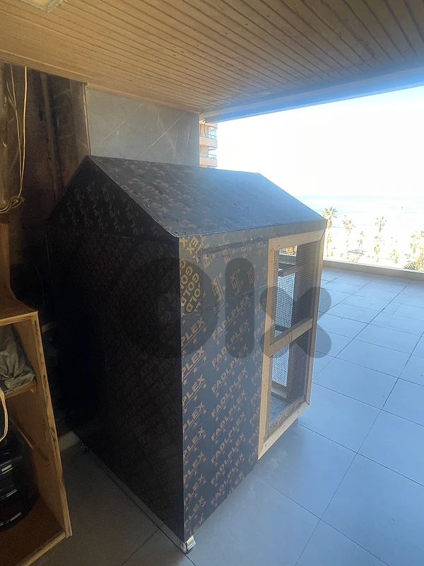 Bird Cage