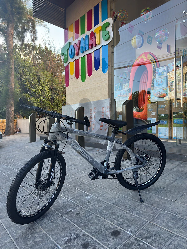 bicycle 24 inch