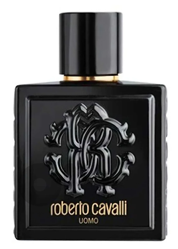 Roberto Cavalli Uomo Eau De Toilette 100ML