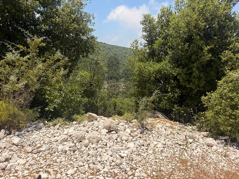 Land for Sale in mechmech