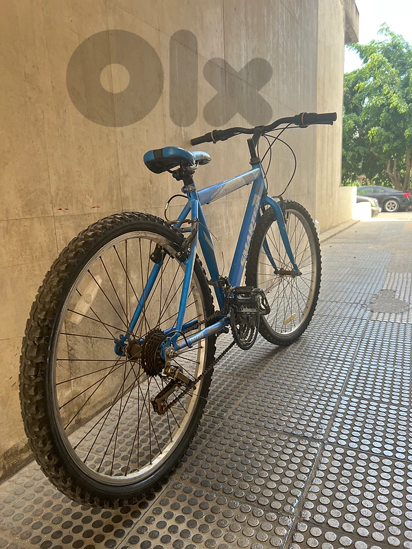 new MtB bicycles