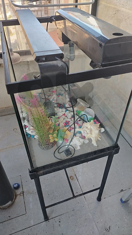 Aquarium اكواريوم سمك مع إضاءة