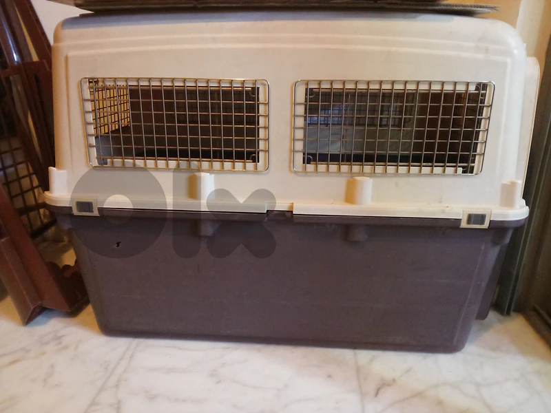 large dog crate