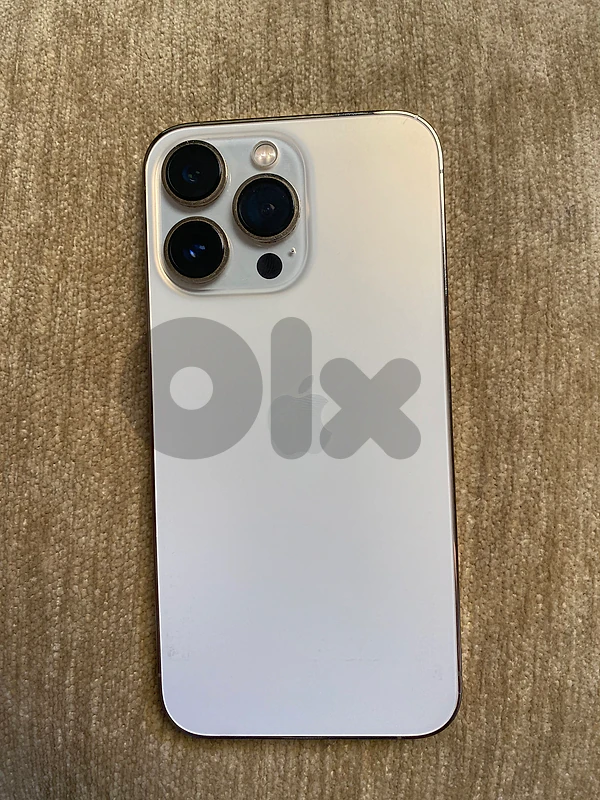 13 pro