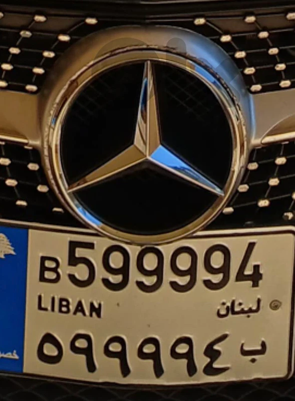 plate number