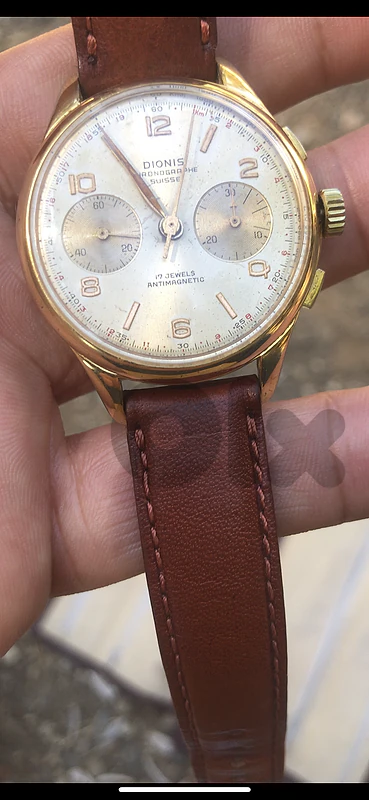 Dionis chrono 38