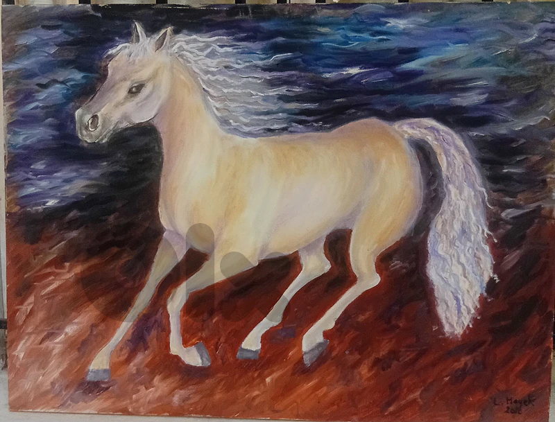 white horse