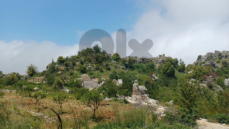 land for sale in Douma أرض للبيع في دوما