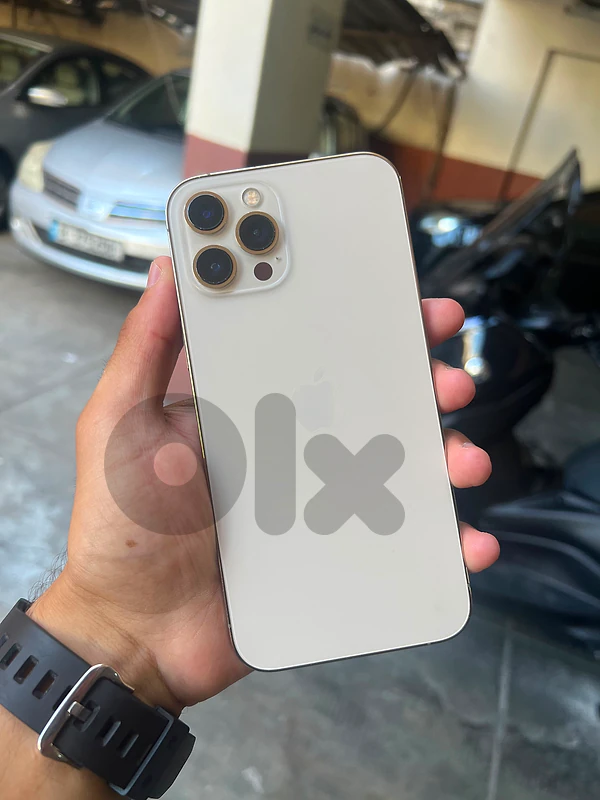 12 pro max