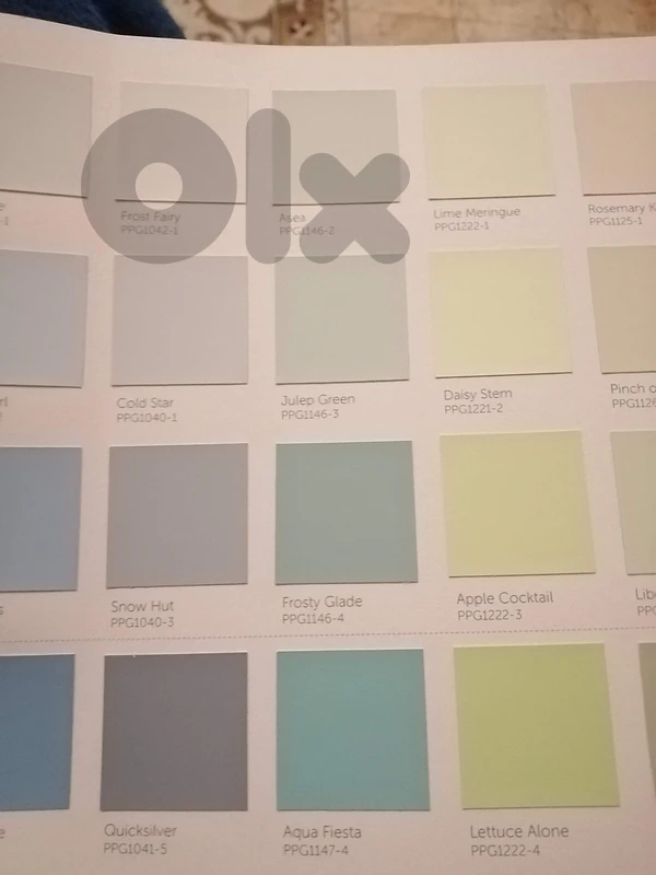 paint estimate
