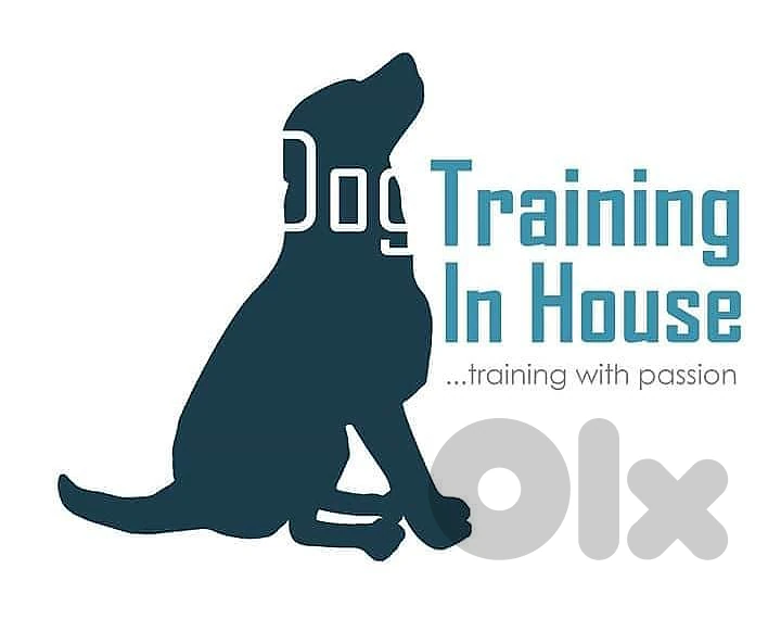training with passion