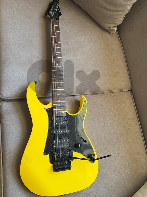 ibsnez rg250