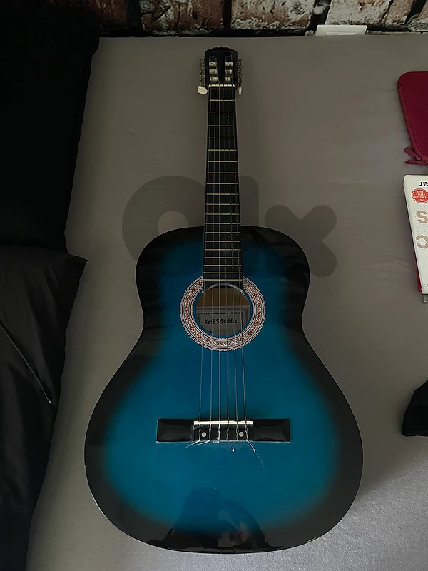 Karl Schneider Guitar