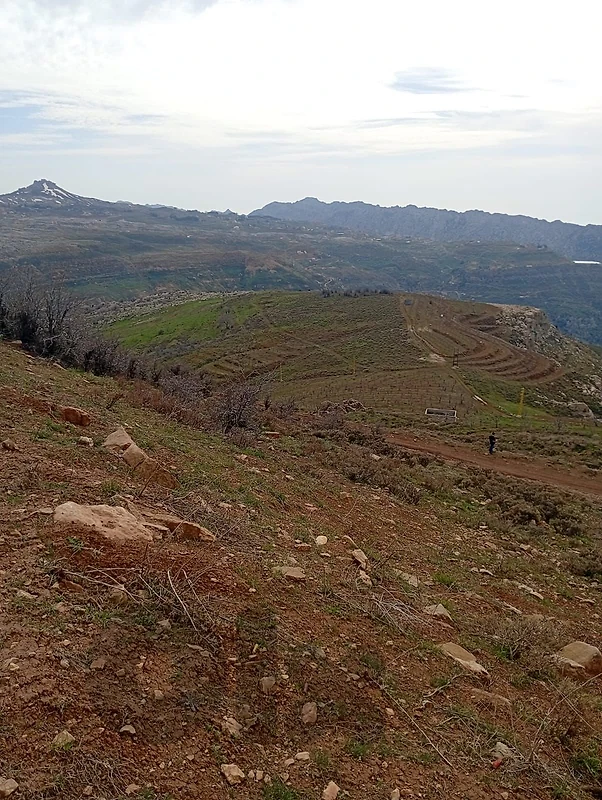 GMN228MM -  Land For Sale In Tannourine  - أرض للبيع في تنورين