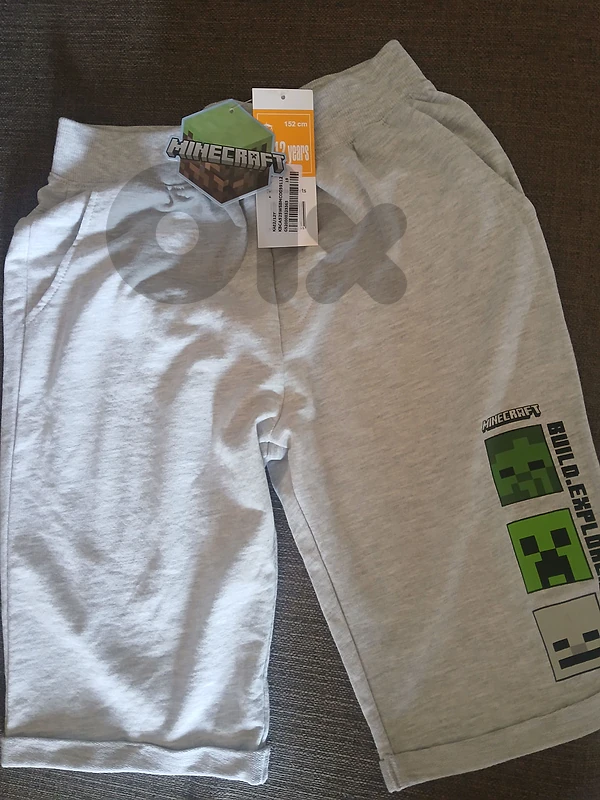 Shorts GS Minecraft