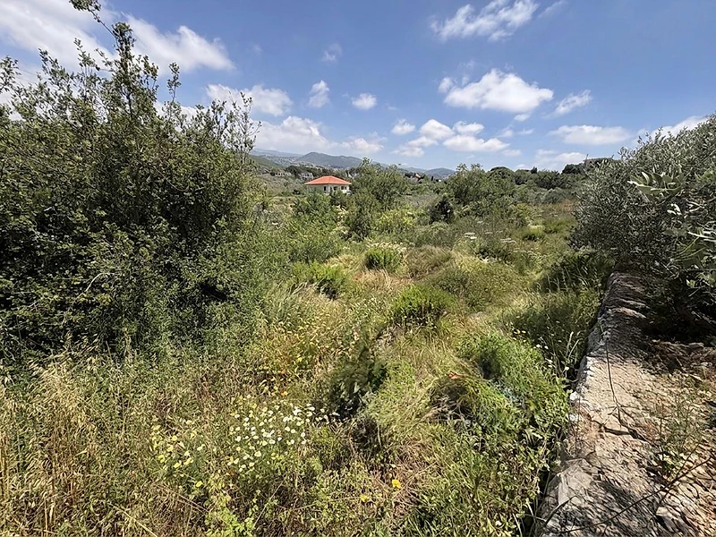Land For Sale In Batroun - Toula أرض للبيع في البترون - تولا CPJGN19