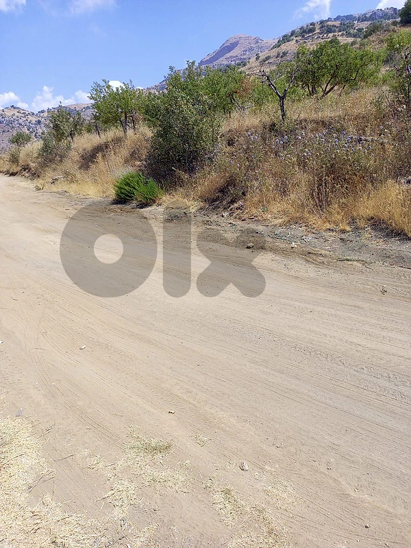 land for sale in mayrouba