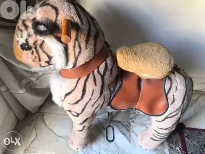 bicycle(tiger)