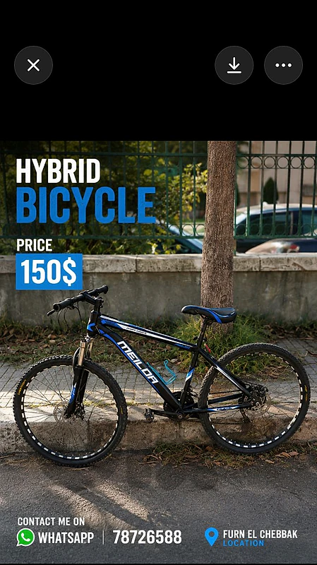 hybrid bike