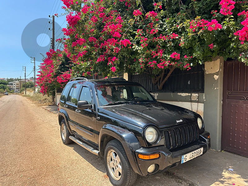 Jeep Liberty 2002 2002