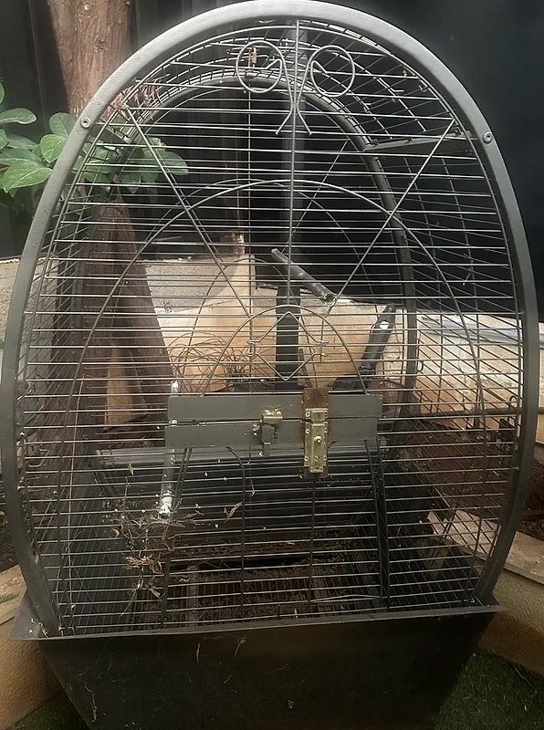 Parrot house